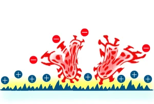 抗菌効果を示す、正電荷を帯びた表面上の負電荷を帯びた細菌の図。.