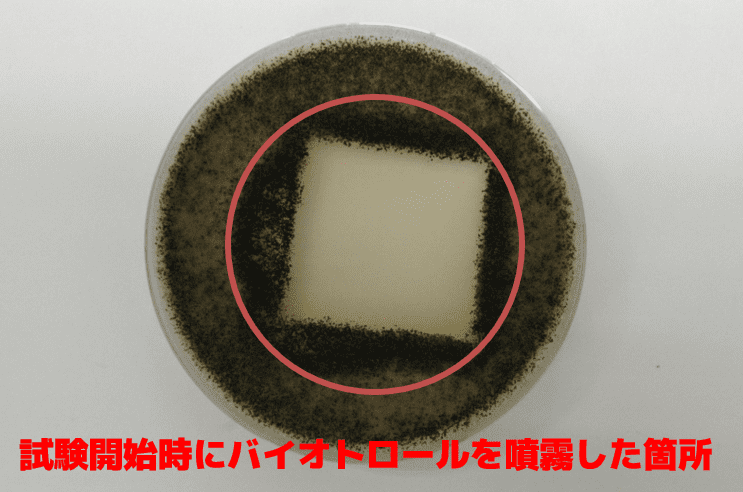 細菌の増殖を示すペトリ皿。中央に透明な正方形の領域がある。下部には「バイオトロールを噴霧した箇所」と日本語で書かれています。.